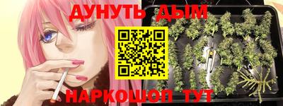 молекула духа Кулебаки