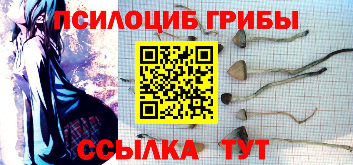 Ейск  Галлюциногенные грибы GOLDEN TEACHER  Псилоцибиновые грибы MAGIC MUSHROOMS  наркота  Вход с VPN 